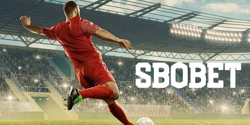79king6 đăng nhập mậu binh uy tín