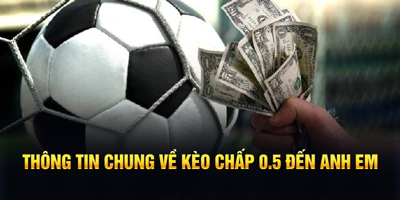 79king6 nổ hũ b29 là gì