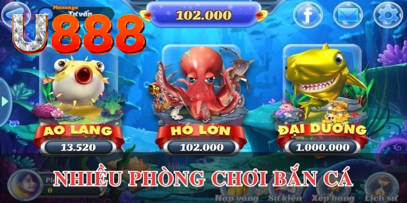 79king6 cá cược là gì