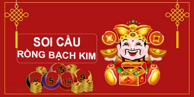 79king6 gà chọi