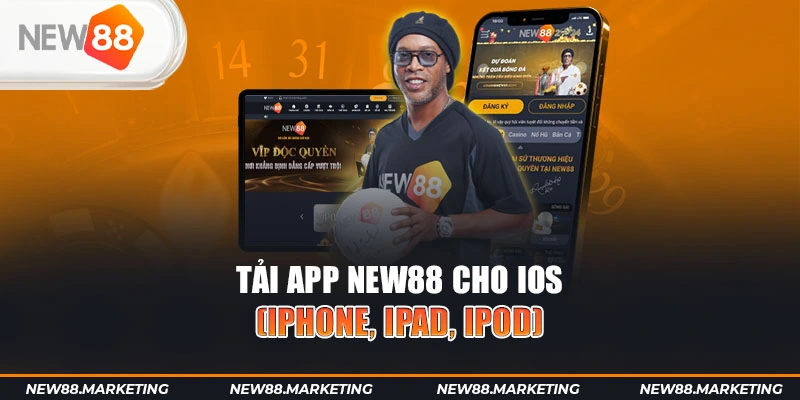 79king6 gà chọi cậu thanh
