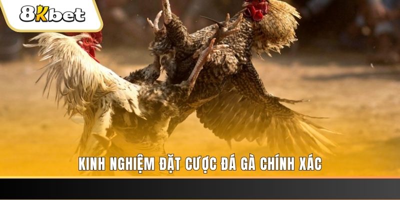 79king6 xổ số thứ bảy hàng tuần