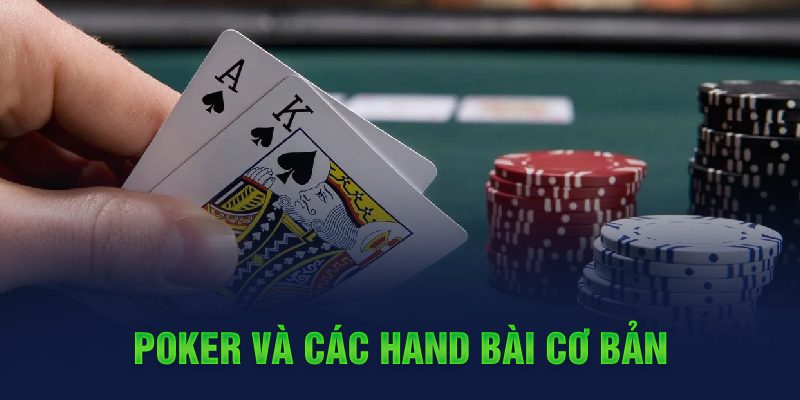 79king6 đá gà cựa dao
