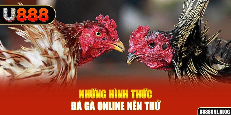 79king6 nổ hũ ai là gì
