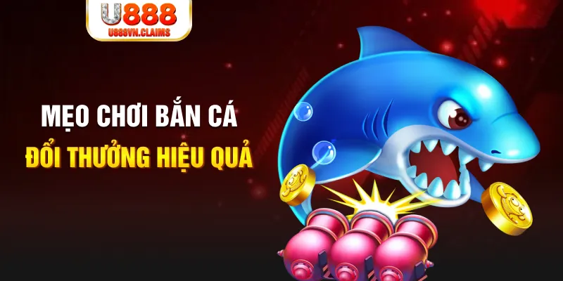 79king6 gà chọi cam ranh