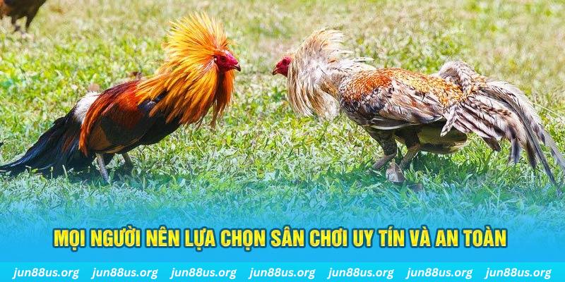 79king6 Cỡ bảy