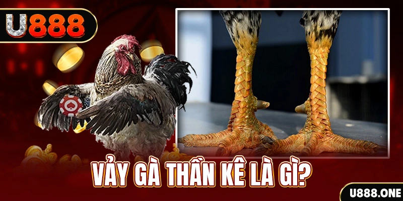 79king6 đăng nhập poker khuyến mãi