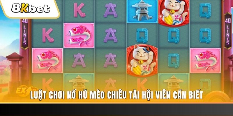79king6 gà chọi cu cần
