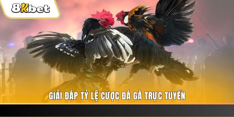 79king6 ban ca online