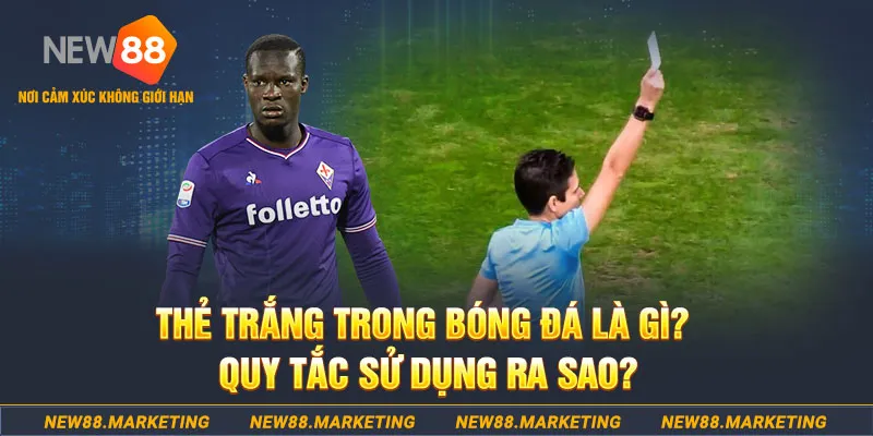 79king6 đăng nhập sòng bạc hôm nay