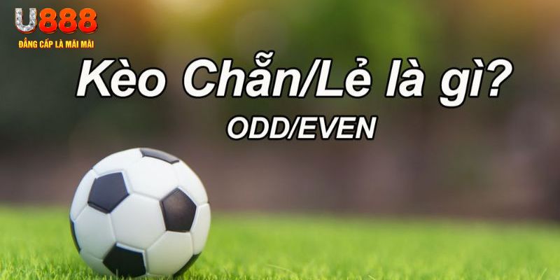 79king6 đăng nhập sòng bạc 2024