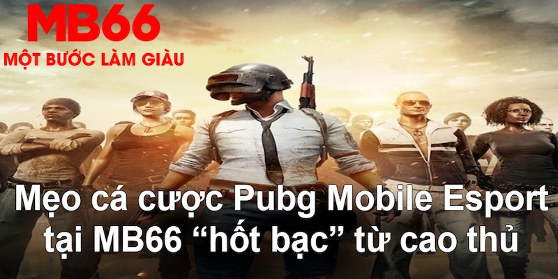 79king6 đăng nhập poker hàng đầu