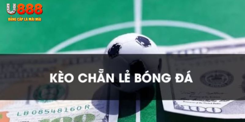 79king6 gà chọi c1.tv