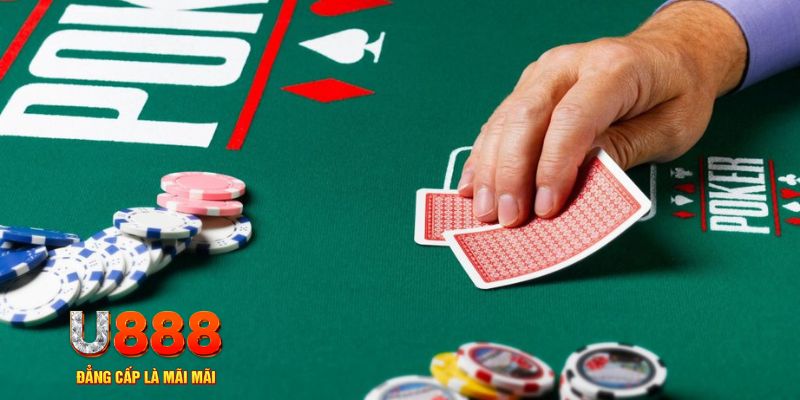 79king6 đá gà 88