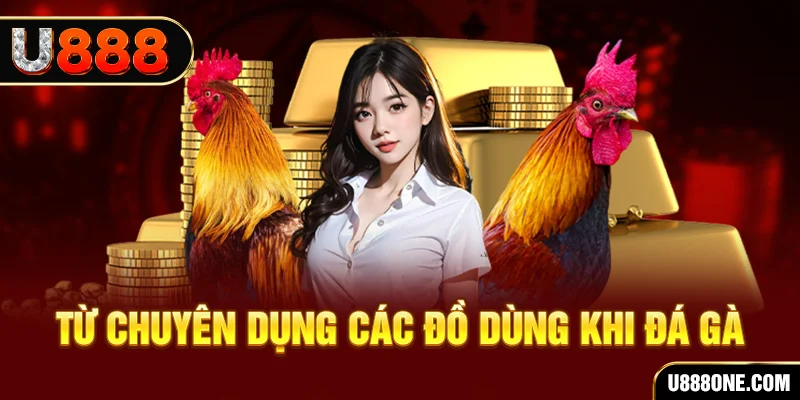 79king6 đá gà trực tiếp campuchia